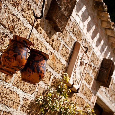 Country House La Cipolla D'Oro Potenza Picena Exteriér fotografie